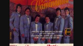 los caminantes maria elena0001wmv [upl. by Letsyrc]