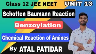 ।।Benzoylation।।Schotten Baumann Reaction।।Chemical Reactions of Amines।।Amines।।Class 12 JEE NEET।। [upl. by Siul]