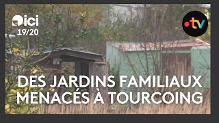 Polémique  des jardins familiaux sont menacés à Tourcoing [upl. by Inig365]