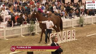 FLORALIE DK TOP PRICE VENTES FENCES 2018 [upl. by Lazos513]