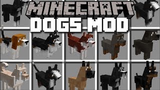 Minecraft PETS MOD  VILLAGERS GO SHOPPING FOR DOGS Minecraft [upl. by Tania]