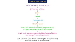 Renal Artery Stenosis Chapter 27 part 7 Guyton and Hall Physiology [upl. by Dixil]