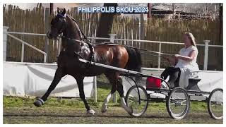 Philippolis Skou 2024  Hier is n lusmaker van so 2 pronkrondtes op dag 1 [upl. by Audres]