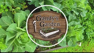 Gardening tips for Gandys Gardeners [upl. by Niwrehs807]