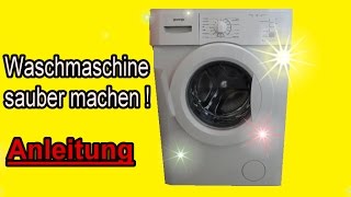 Waschmaschine komplett reinigen  Waschmaschine richtig sauber machen  Anleitung [upl. by Queston374]