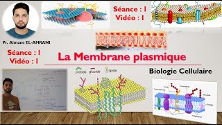 Vidéo 1  Généralités sur la structure et la composition de la membrane plasmique [upl. by Wylie]