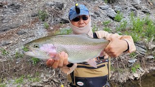 Blue River Colorado below Green Mountain Res monster trout fly fishing no foul hooking [upl. by Bonnice362]