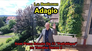 Beethoven quotPathétiquequot Adagio from Piano Sonata Op13 [upl. by Anirtap]