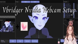 Vbridger Nvidia Webcam Setup [upl. by Anibor]