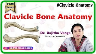 Clavicle Bone Anatomy Bony Landmarks and Articulations Functions Attachments Clinical aspects [upl. by Teage421]