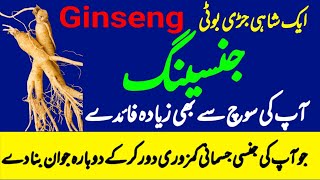 Ginseng benefits  How to use Ginseng  Ginseng Kay Fayde  Hakeem Farhan Niz [upl. by Rab]