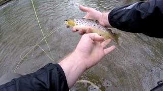 Fly Fishing Pennsylvania  Monocacy Creek [upl. by Ivette]