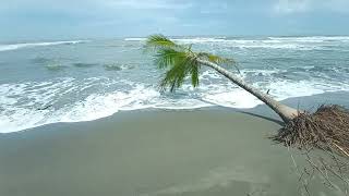 Playa Gandoca Costa Rica [upl. by Enahsal338]