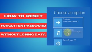 How To Reset Forgotten Password in Windows 11 Without Losing Data2024 [upl. by Nhguaved1]