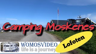 Camping Moskenes Lofoten [upl. by Artnoed]