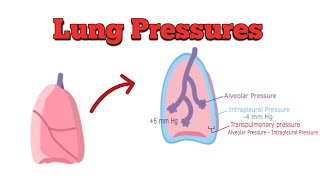 Understanding Lung Pressures [upl. by Aidaas]