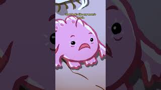 Giant Frogfish 🐸🐟 animation original cartoon [upl. by Jammin132]