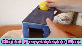 DIY Object Permanence Box  Montessori Materials [upl. by Yedorb6]