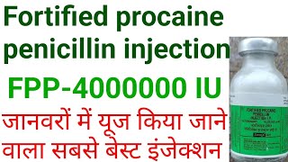 Fpp 40 iu injectionfortified procaine penicillin injection uses in hindihow to use fpp injection [upl. by Heymann]