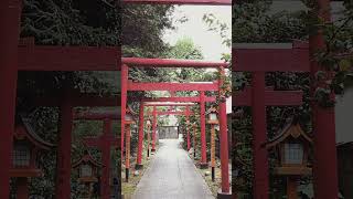 【Japan4K】Japanse Temple [upl. by Cohlette974]