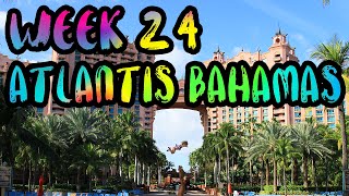 Atlantis Resort Sharks Dolphins and Our New 360 Camera  WEEK 24  Atlantis Bahamas [upl. by Notsecnirp]