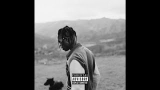 FREE FOR PROFIT TRAVIS SCOTT X DON TOLIVER TYPE BEAT  PERJURY [upl. by Elatsyrc]