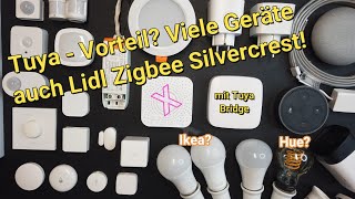 Tuya Bridge  Vorteil Viele Geräte auch Lidl Zigbee Silvercrest mit Alexa  Sonoff  Tint  Aquara [upl. by Nunnery]