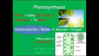 Photosynthesis GCSE Combined Science Biology [upl. by Setarcos]