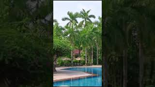 Ibiza Fern Resort near Kolkata swimming pool view [upl. by Beore731]