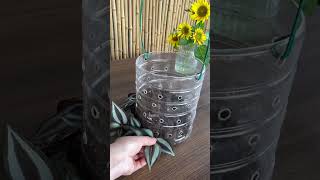 Amazing good idea recycle planting flower in bottle plastic so beautiful garden flower diy [upl. by Norvall]