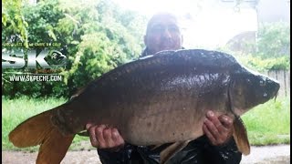 🎥➡️ CARPE AU COUP PÊCHE EXTRÊME SPECIMEN ❗❗❗ [upl. by Htebarual]