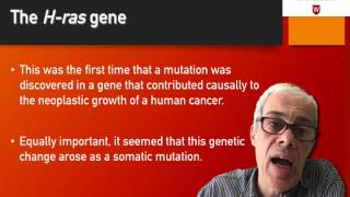 24 Discovery of the Hras gene [upl. by Adlei]