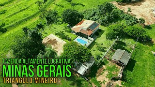 FAZENDA A VENDA EM MINAS GERAIS PRÓXIMA A UBERLÂNDIAMG [upl. by Guria]