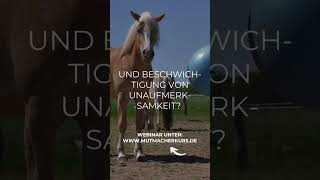 Verstehst Du was Dein Pferd Dir sagen will Tanias Webinare unter mutmscherkursde … pferde [upl. by Rebmak]