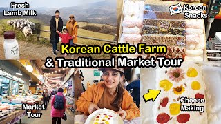 🇰🇷Morning in HolidayInn Resort  Korean Cattle Farm and Traditional Market Tour  SidraRiazVLOGS [upl. by Cordell]