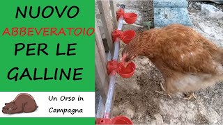 Nuovo abbeveratoio per galline Semplice ed economico [upl. by Olegnalehcim]