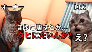 【猫ミーム】ゴミカス彼氏が最恐オーナーに消された話＃猫マニ＃猫ミーム [upl. by Aynotak]