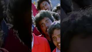 Dandalayya Undralayya Song  Coolie No 1 Telugu Movie  Venkatesh  Tabu  Shorts  ytshorts [upl. by Nwad]