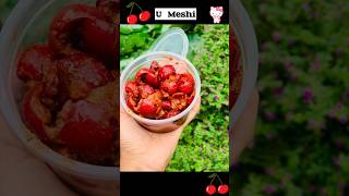 Flacourtia inermis🍒 Lovi pickle 🍒  lovi achcharu  fruit 🍒 [upl. by Llenel]