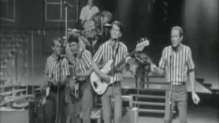 Mike Love Beach Boys Dancing Collection [upl. by Gower136]