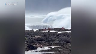 Huge waves wipeout beachgoers on Oahus North Shore [upl. by Eerdna]