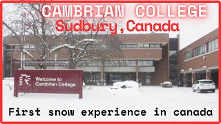 Cambrian College Sudbury Ontario First Snow  Cambrian College International Student  Nepali [upl. by Linnell]