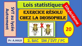 Exercice résolu dihybridisme chez la drosophile linkage complet et incomplet  carte factorielle [upl. by Blase]