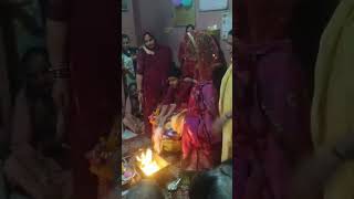 Meri Tulsi ka vivah trending tulsi tulsivivah trending laddu radheshyambhajan hindumantra [upl. by Dalury]