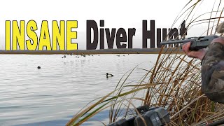 Insane Diver Duck Hunting Action [upl. by Tedric]