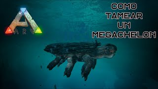 Como tamear un Megachelon de manera fácil y rápida En Ark Survival Evolved [upl. by Labina399]