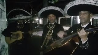 1 Vecino 3 Mariachis  El Guerrero de Dios Relatos Salvajes [upl. by Sisely437]