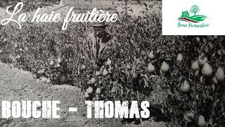 Avenir Permaculture  La haie fruitière BouchéThomas [upl. by Ymar364]