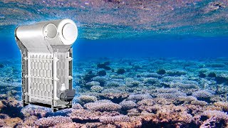 Make Your Aquarium Crystal Clear with the ClariSea Automatic Filter [upl. by Llirred]