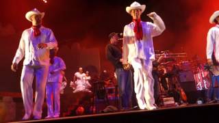 Lila Downs quotLa Iguanaquot  Ford Theatre LA 81216 [upl. by Ecinahs]